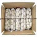 China New Colheita Fresh Garlic Small Bag Embalagem Atacado